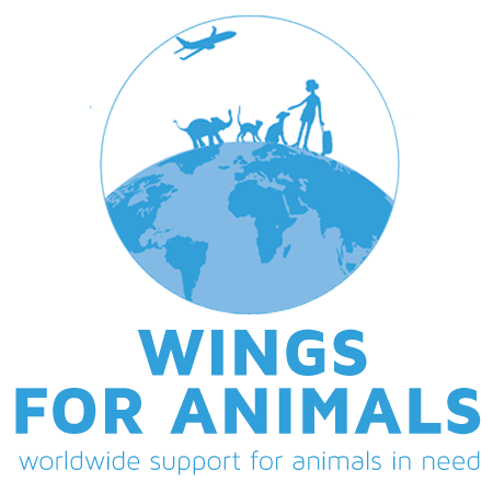Wings For Animals