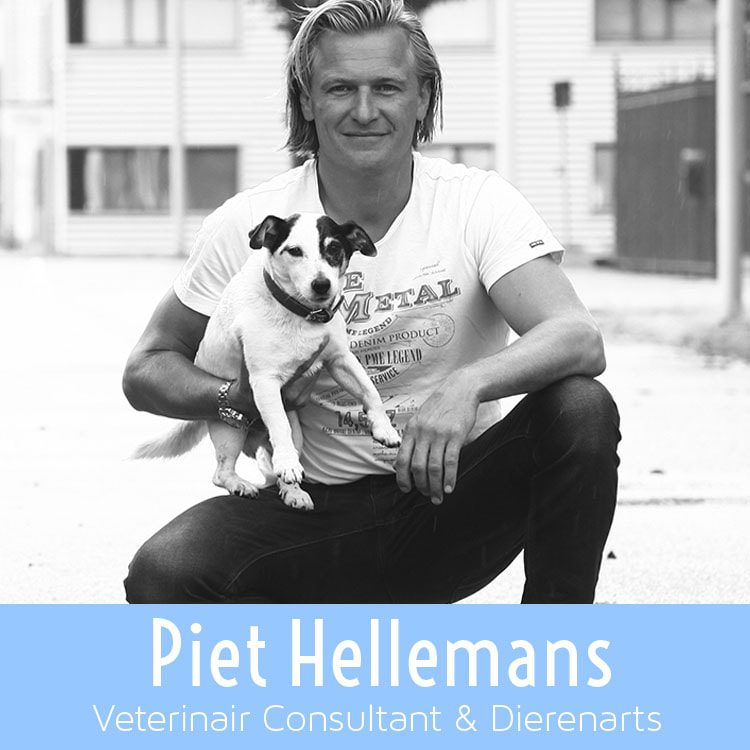 Piet Hellemans